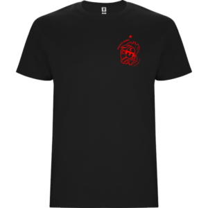 Camiseta Manga Corta (Escudo)